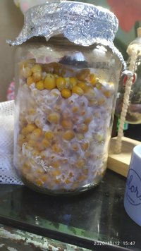 IMG_20201012_154755.jpg