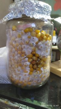 IMG_20201012_154748.jpg