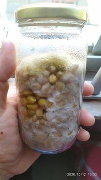 IMG_20201012_133210.jpg