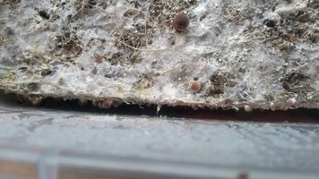 IMG_20201016_163808722.jpg