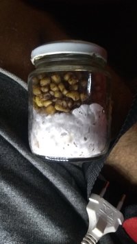 IMG_20201013_160202737.jpg