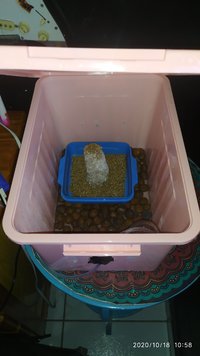 IMG_20201018_105814.jpg