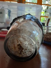 20201017_114418.jpg