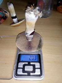 20201019_130603.jpg