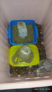 IMG_20201020_162455.jpg