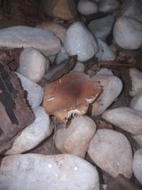 20201021_213836.jpg