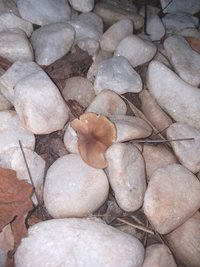 20201021_213930.jpg