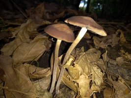 IMG_20190220_163542325.jpg