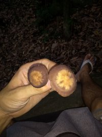 IMG_20190220_164057144.jpg