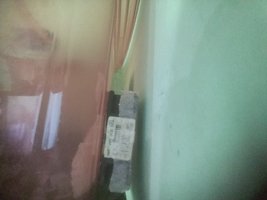 20200824_065023.jpg