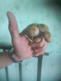 20201024_162244.jpg