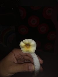 IMG_20201026_155030950.jpg