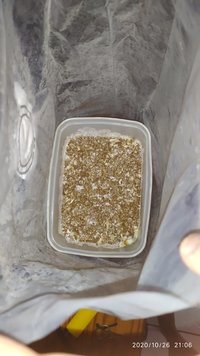 IMG_20201026_210606.jpg