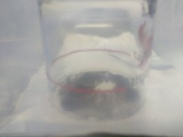 IMG_20201029_183028545.jpg