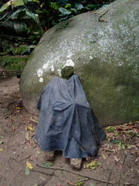 20201103_165723.jpg