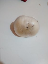IMG_20201108_174244055.jpg