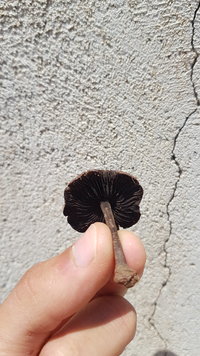 20201107_102859.jpg