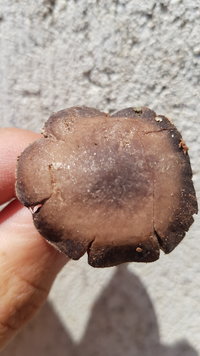 20201107_102846.jpg