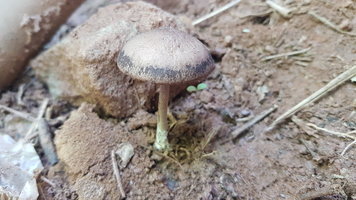 20201107_103008.jpg