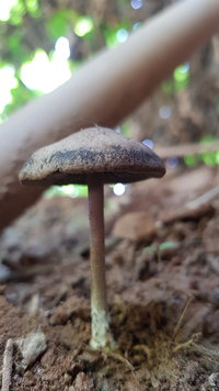 20201107_103125.jpg