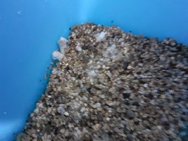 20201110_172611[1].jpg