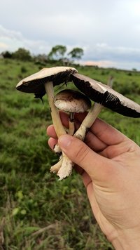IMG_20201107_220641.jpg