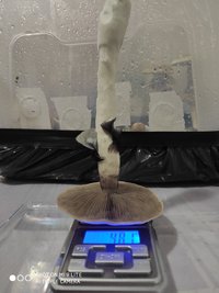 IMG_20201113_210750.jpg