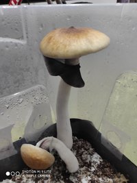 IMG_20201113_172008.jpg