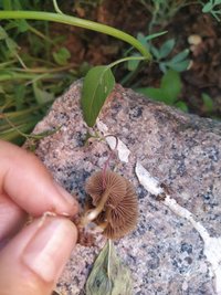 IMG_20201115_065740.jpg