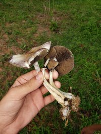 20201106_142850.jpg