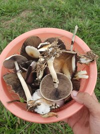 20201114_130105.jpg