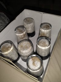 IMG_20201116_101814414.jpg