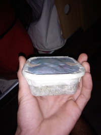 20201117_233924.jpg