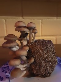 20201105_191307.jpg