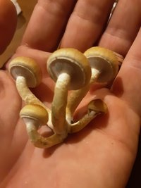 20201105_192549.jpg