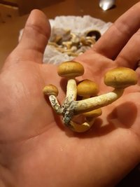 20201105_192636.jpg