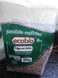 foto2.jpg