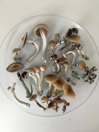 F6448331-F73D-400E-945D-C5EC6BEEB93C.jpeg