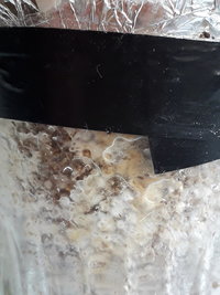 20201127_123732.jpg