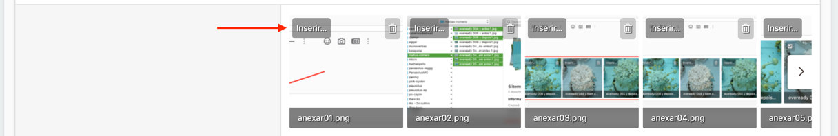 anexar03.jpg