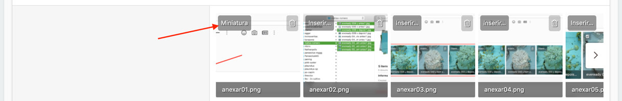 anexar04.jpg