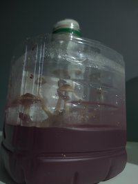 IMG_20201129_182620969.jpg
