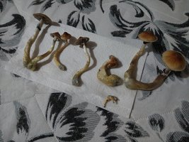 IMG_20201129_190919988.jpg
