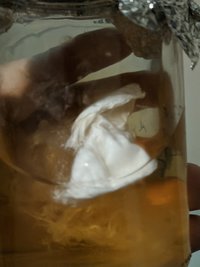 IMG_20201129_191001.jpg