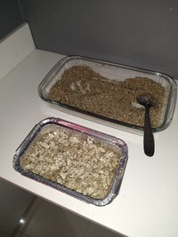 IMG_20201130_130941104.jpg