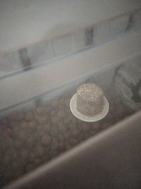IMG_20201106_120033.jpg