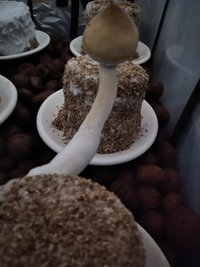 IMG_20201201_110357.jpg
