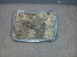 20201202_094214.jpg