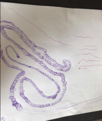 1606933332256.png