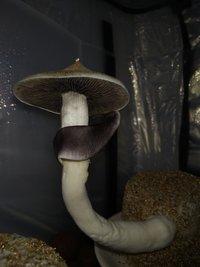 IMG_20201202_170804.jpg